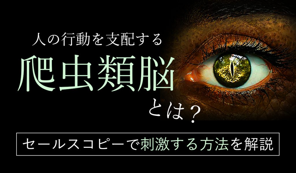 人の行動を支配する爬虫類脳とは セールスコピーで刺激する方法を解説 コピリッチ